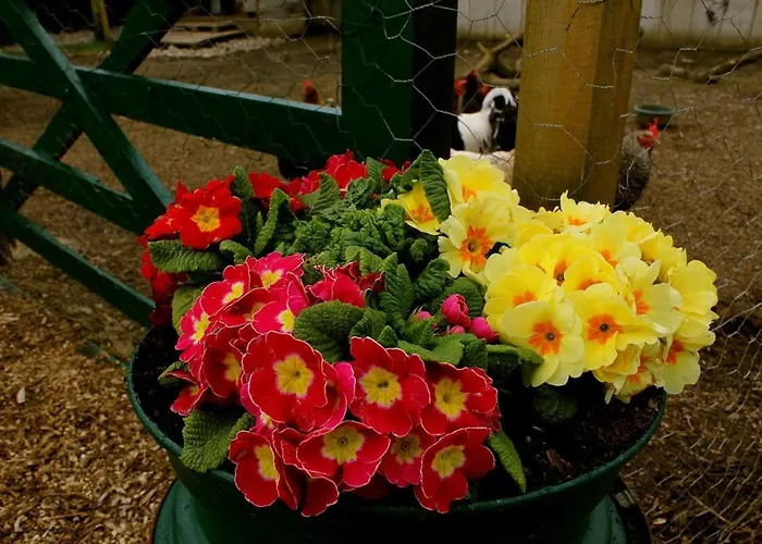 別荘 Dunloe View キラーニー